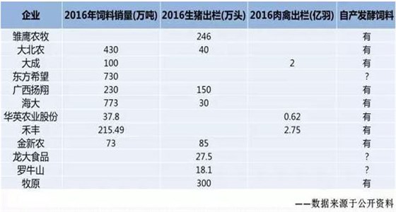 发酵技术加盟