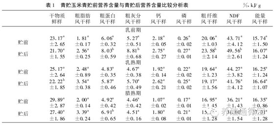 全株玉米饲料发酵技术营养分析