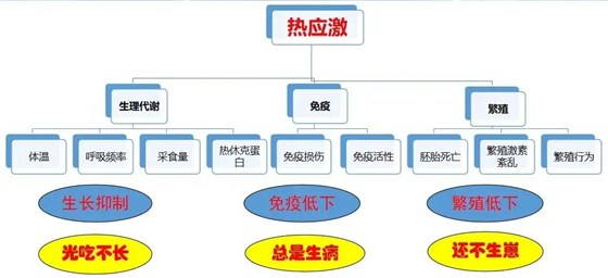 微信图片_20220712145918