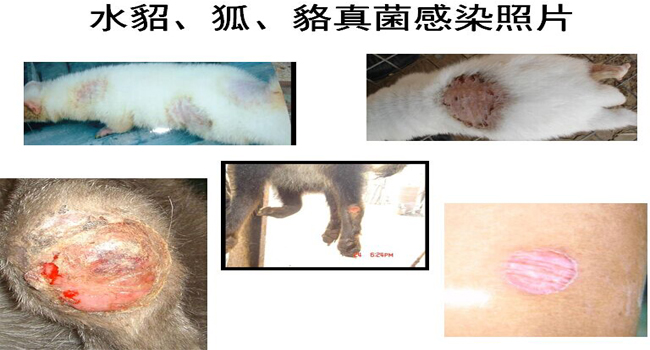 青岛新康科技技术部案例分享