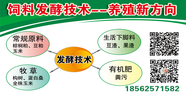 饲料发酵技术加盟