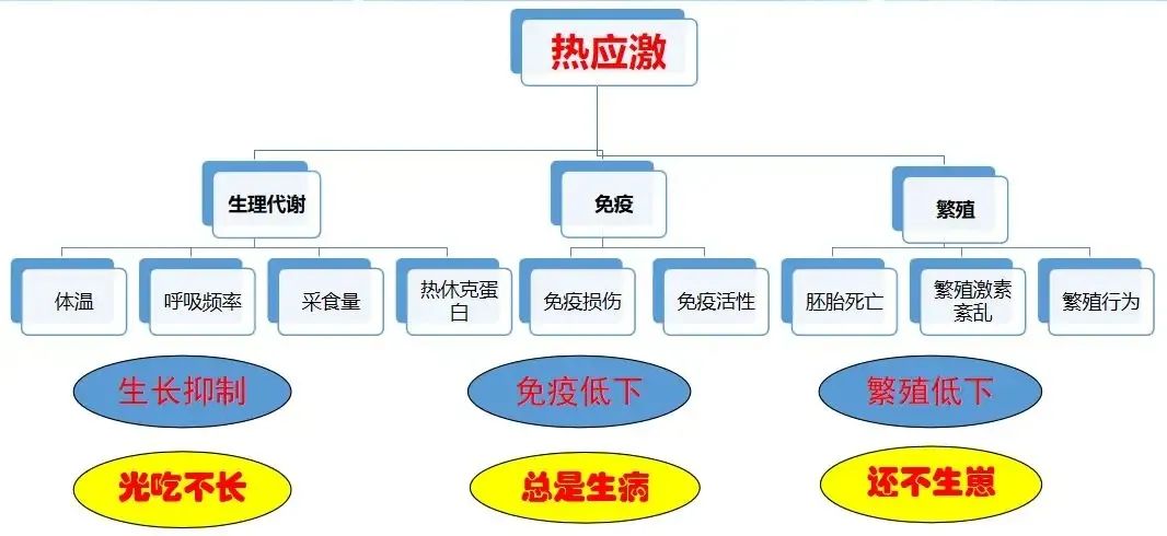 微信图片_20220712145918